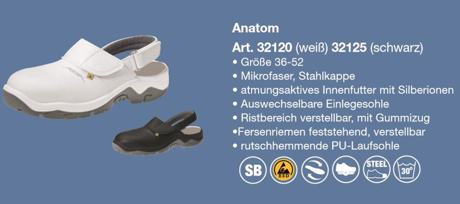 arbeitsschuh anatom